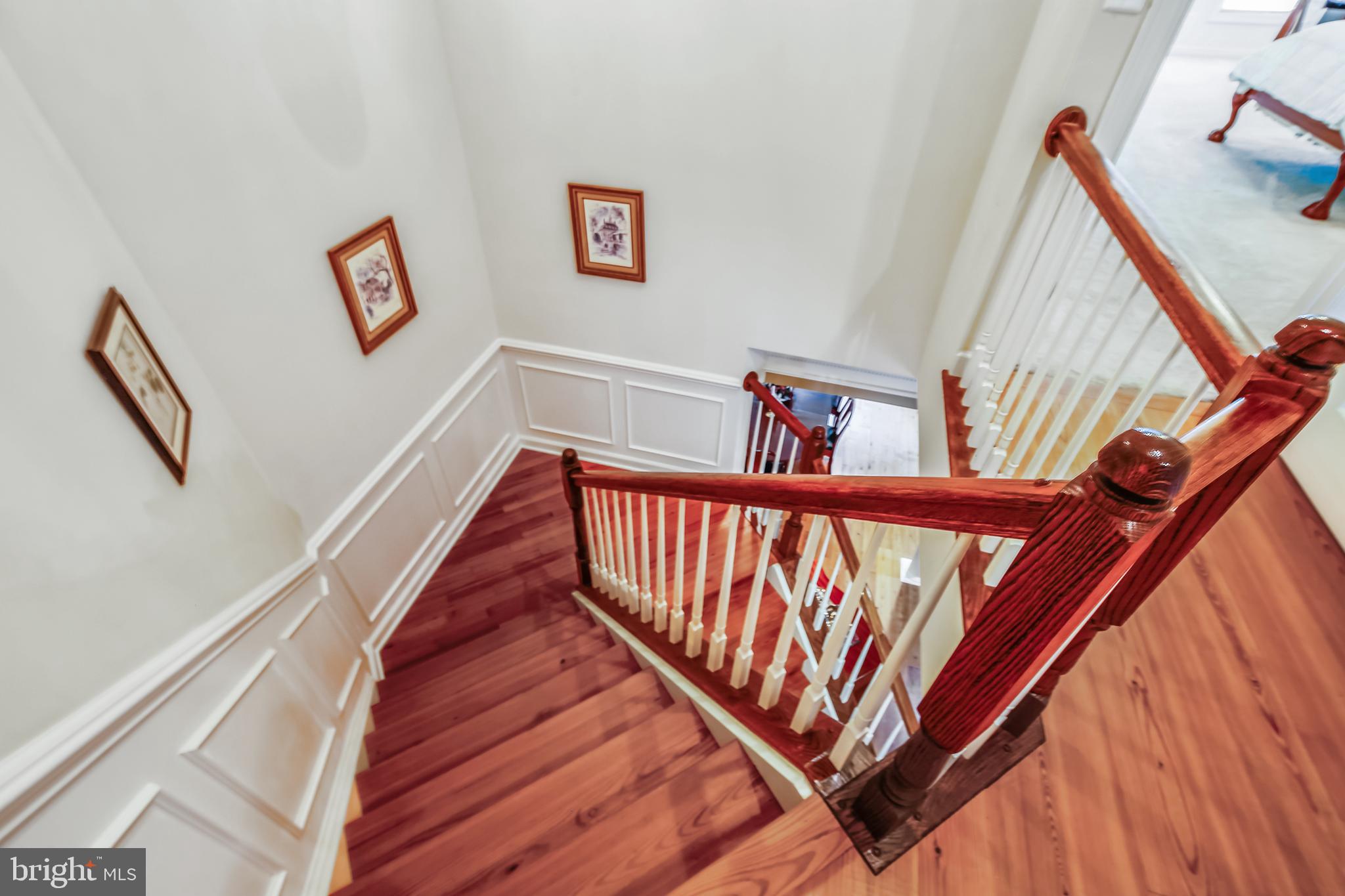 ELMWOOD - Residential