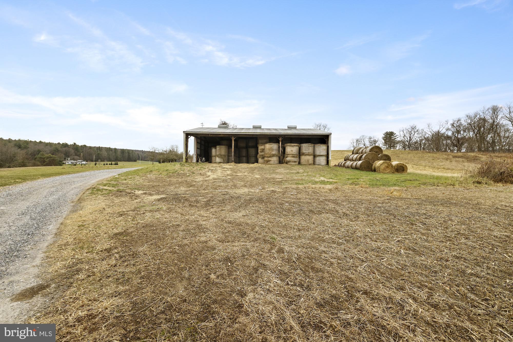 NONE AVAILABLE - Farm