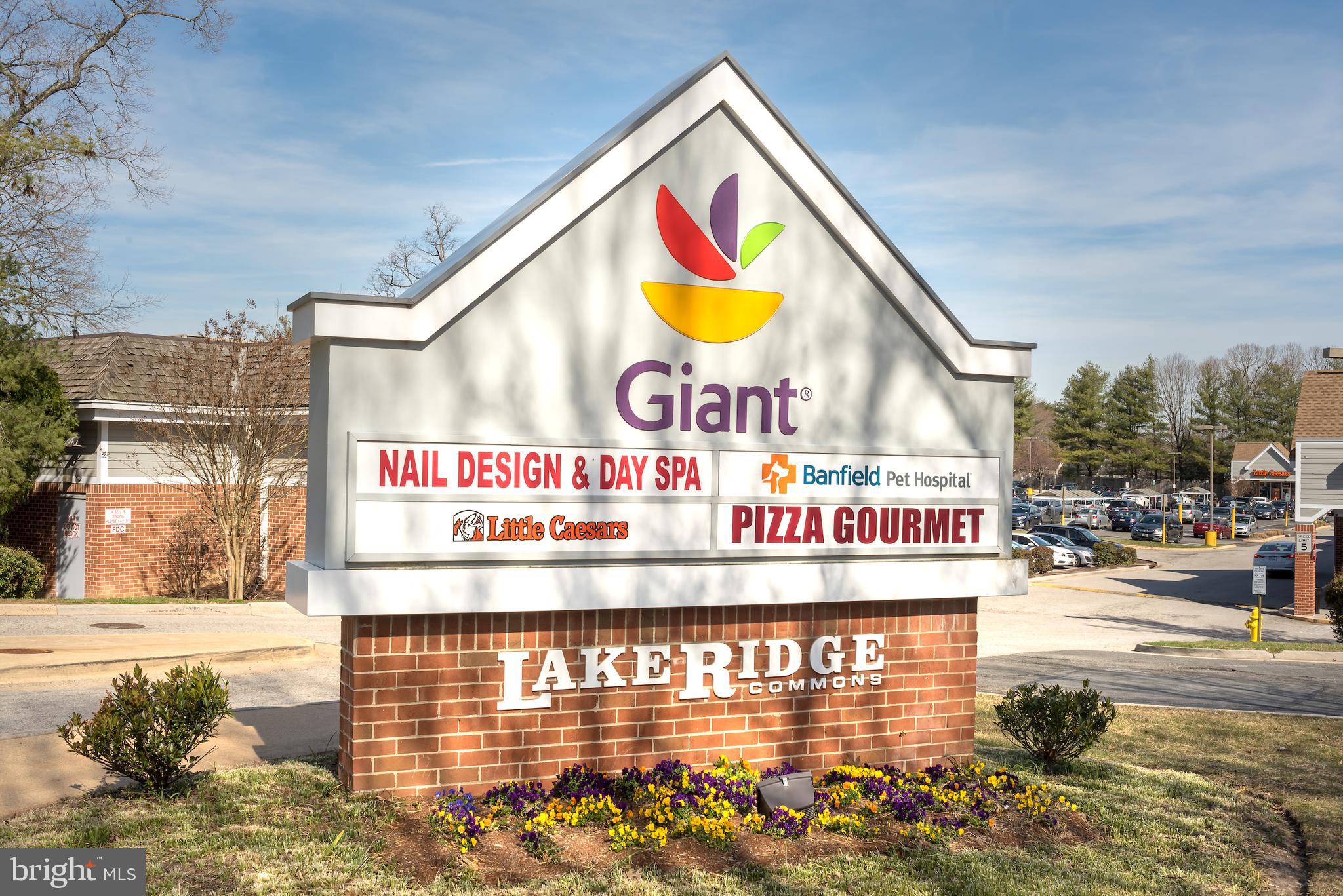 LAKE RIDGE - Residential