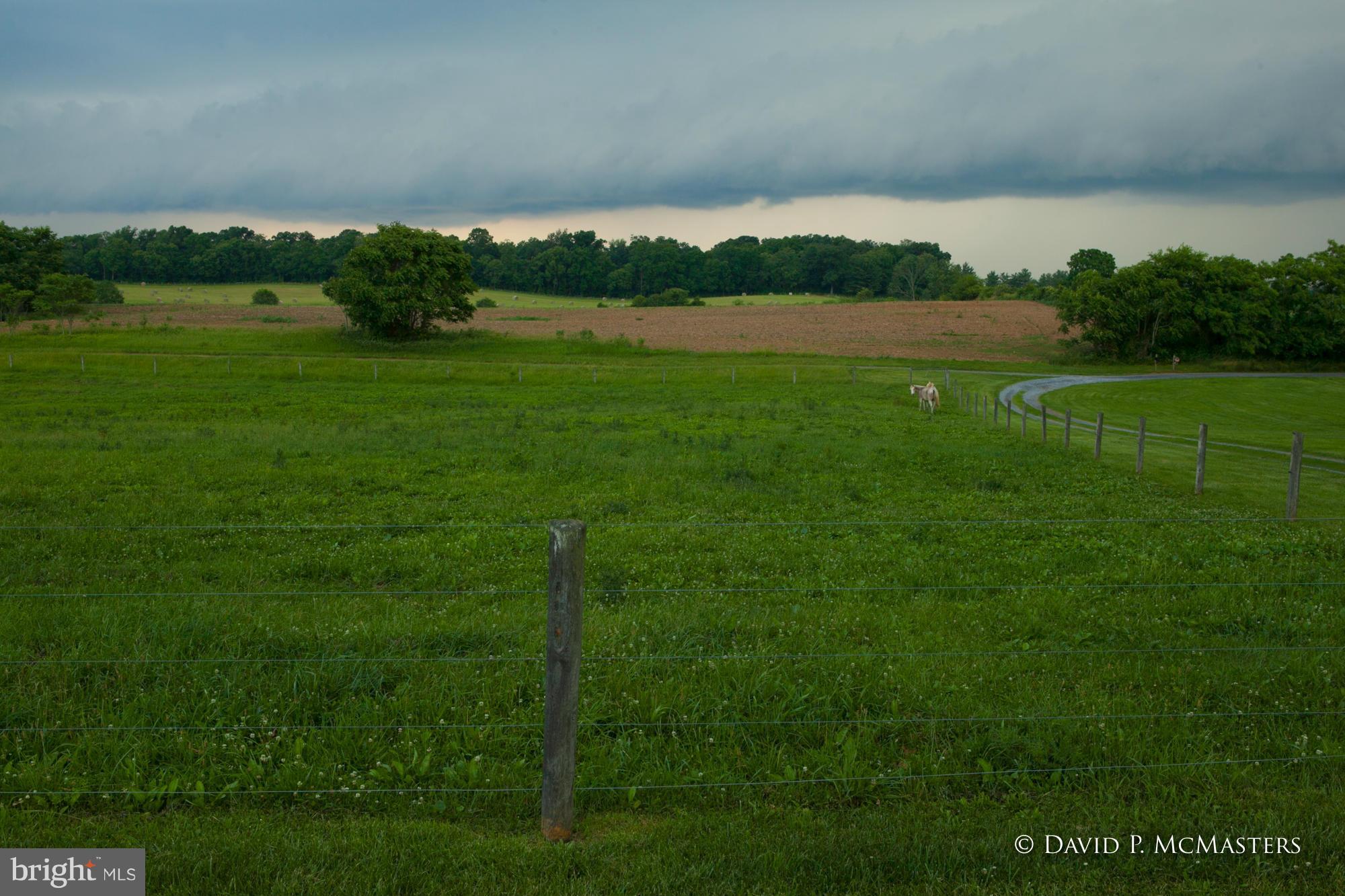 NONE AVAILABLE - Farm