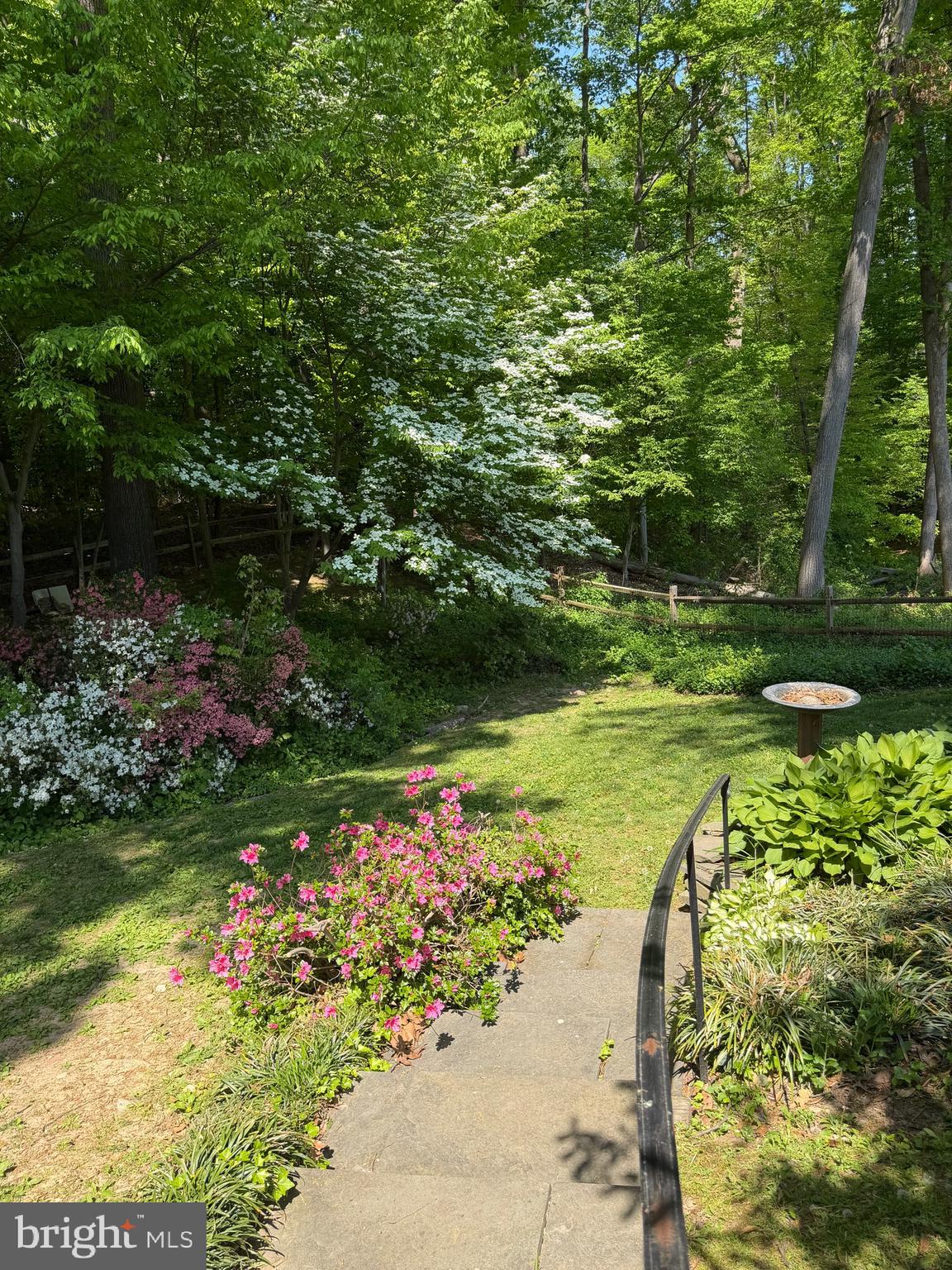 CARDINAL FOREST - Residential