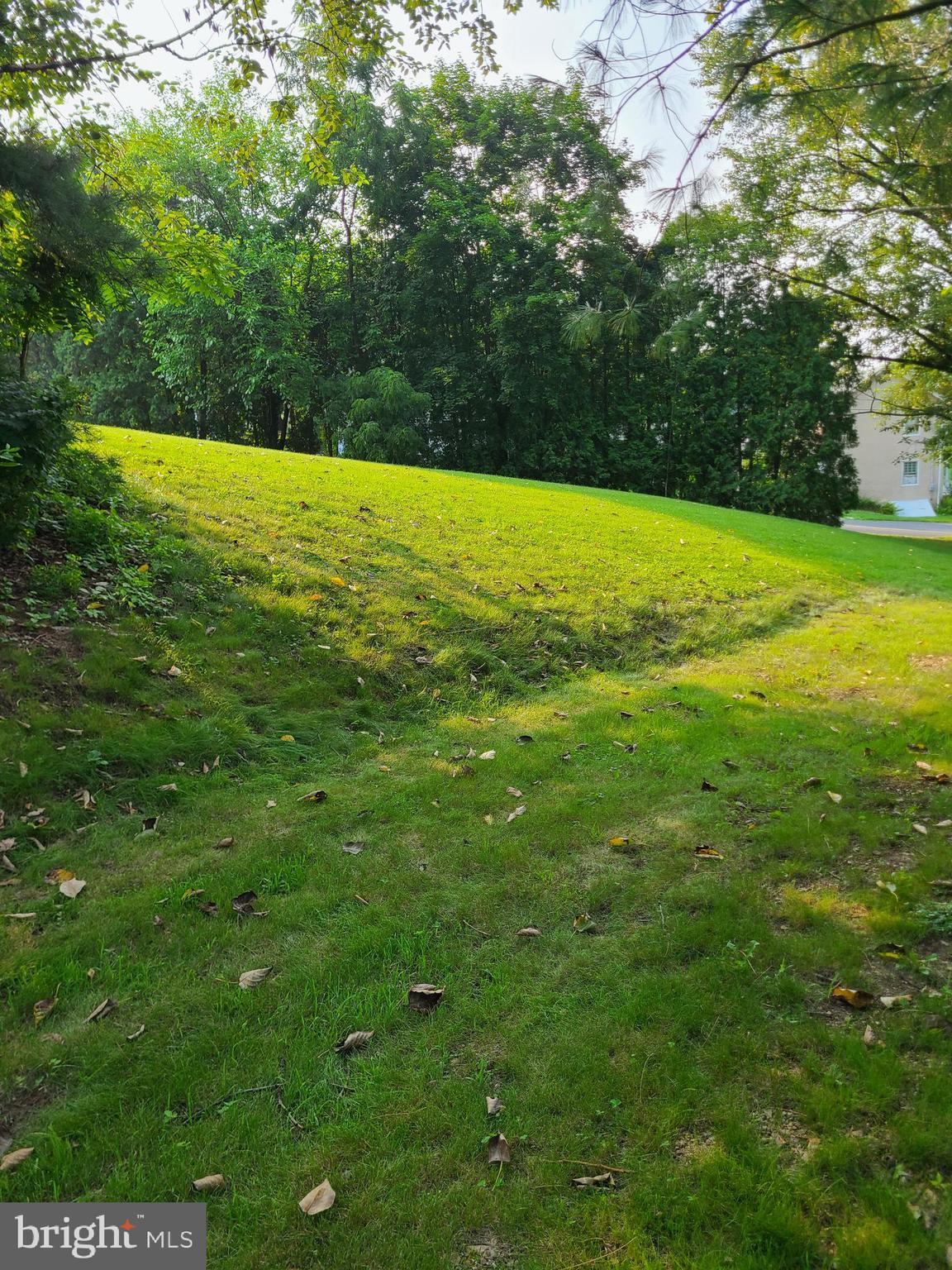 COLEBROOKDALE TWP - Residential