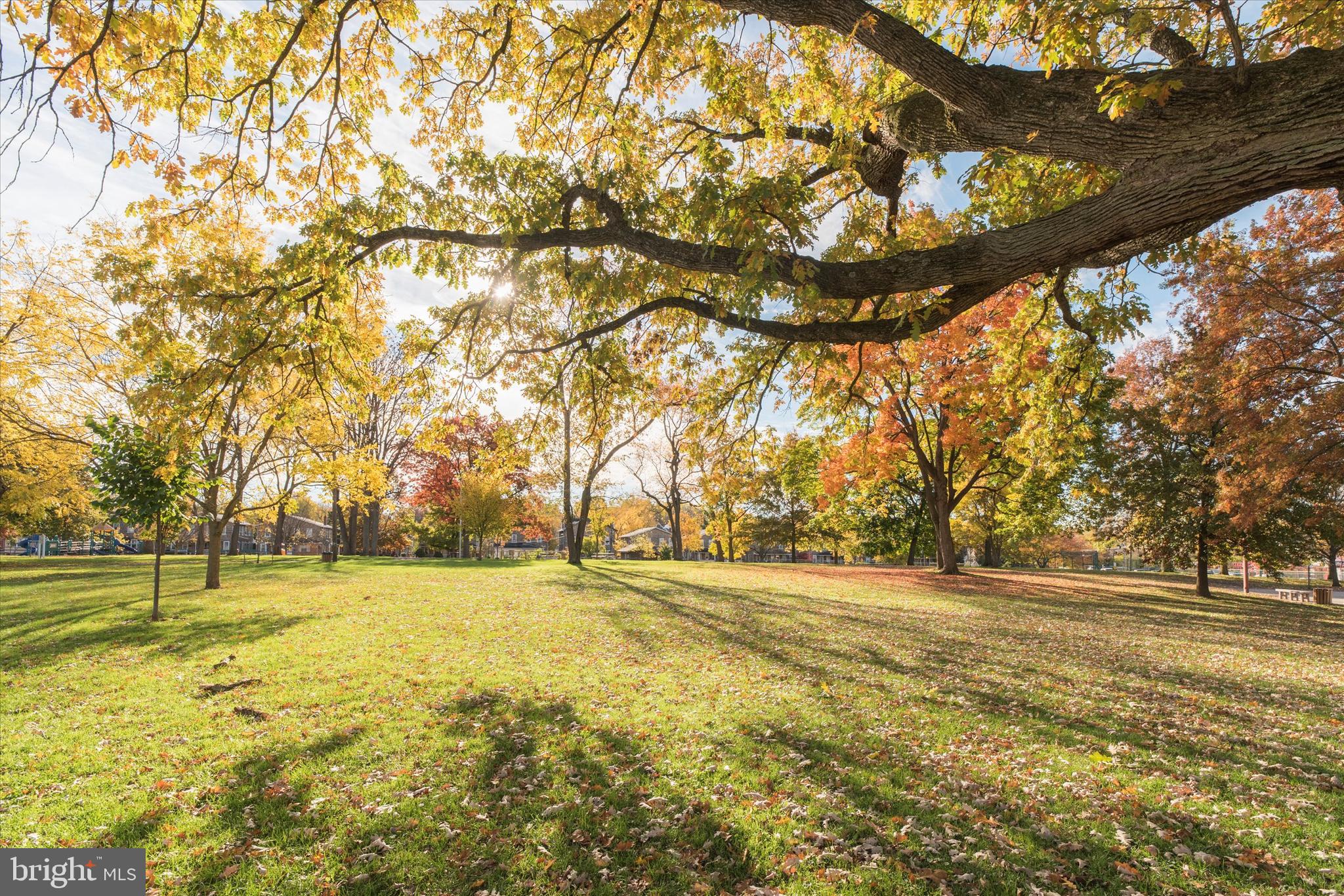 AMBLER - Residential Lease