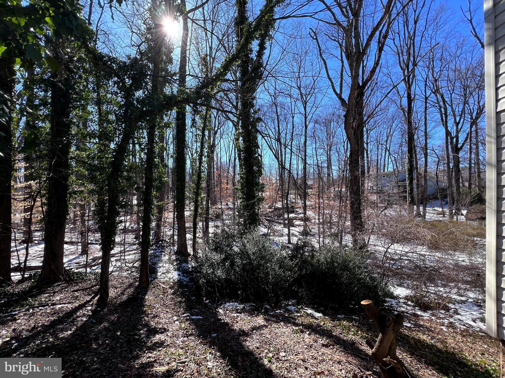 SURREY ACRES - Residential