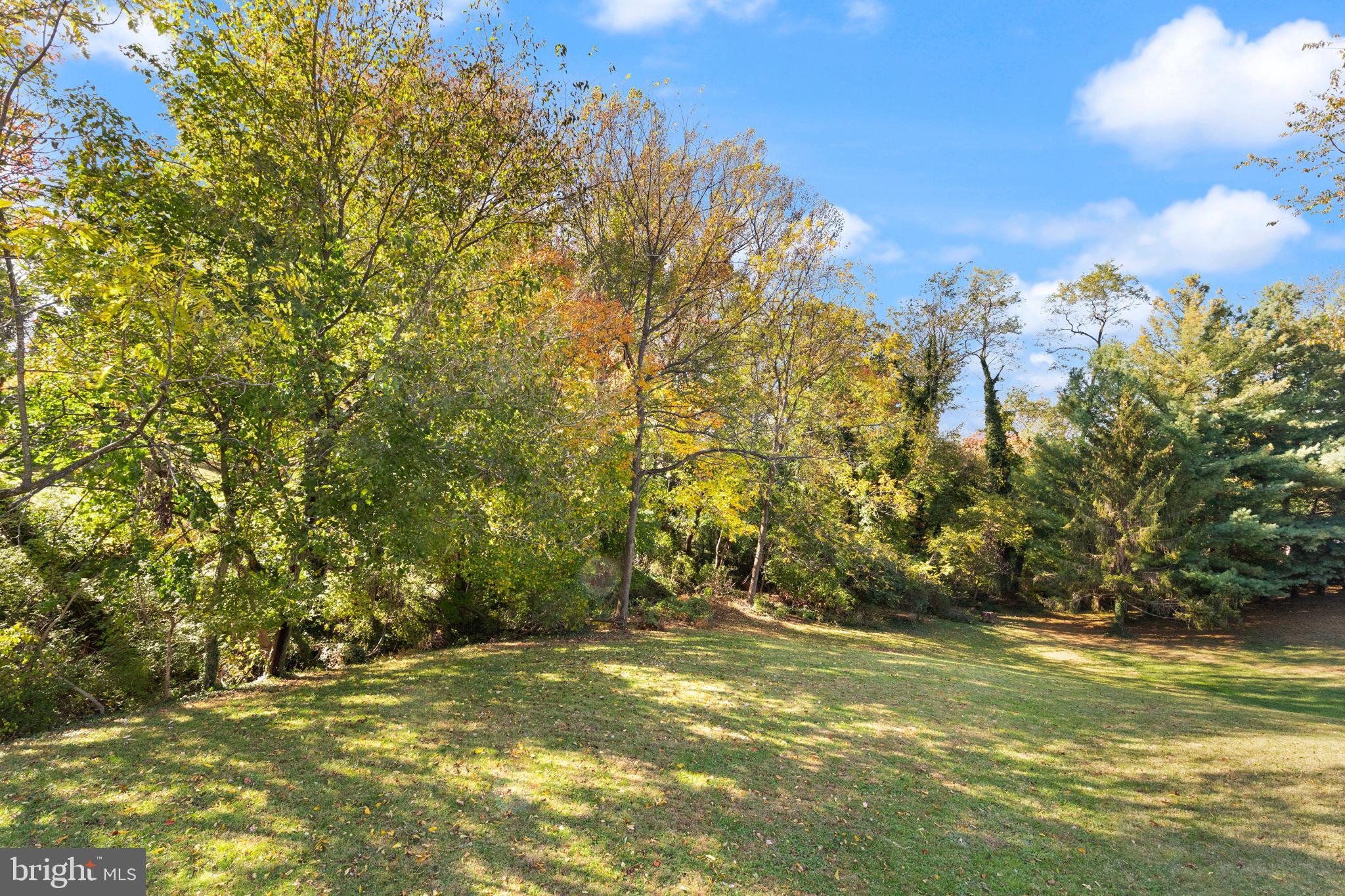 WINCHESTER PARK - Residential