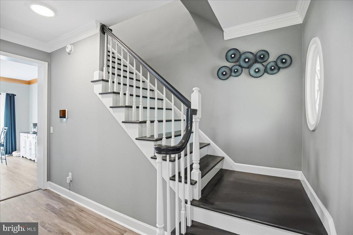 ESSEX SOUTH - Residential