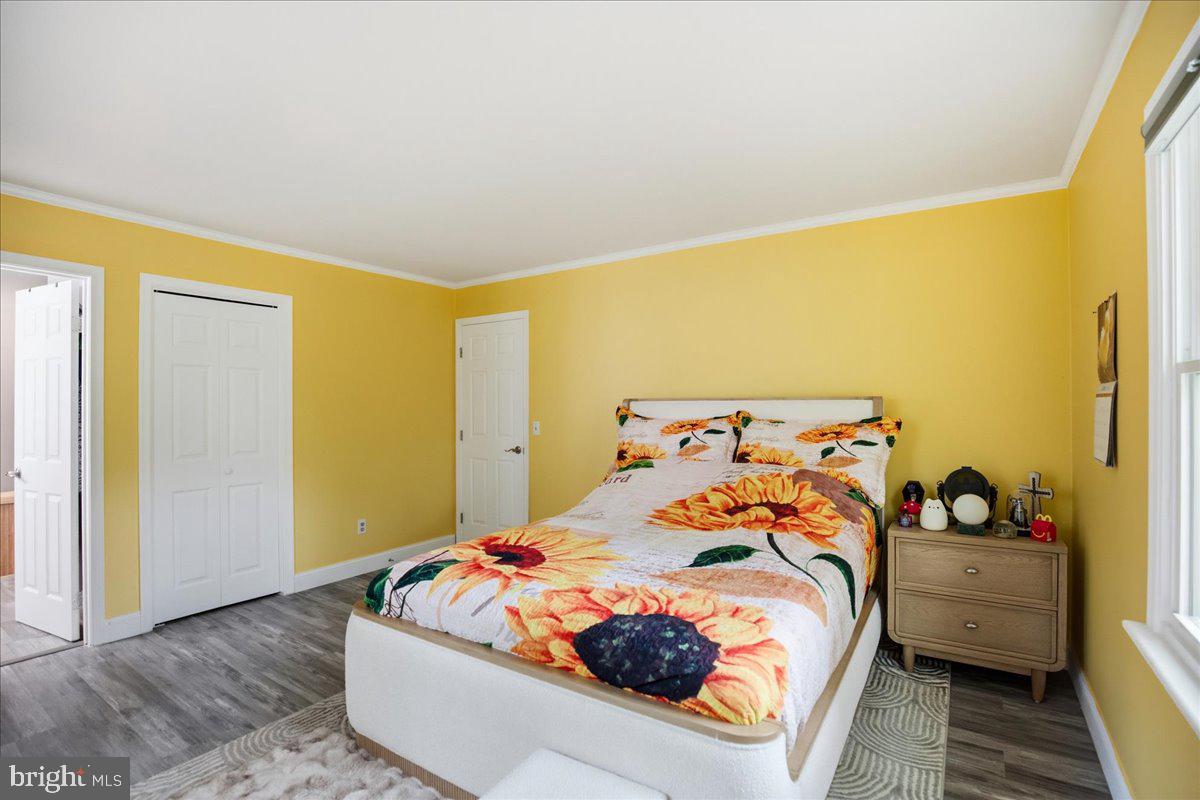 ESSEX SOUTH - Residential