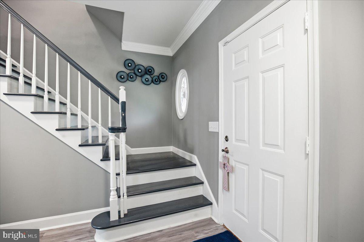 ESSEX SOUTH - Residential