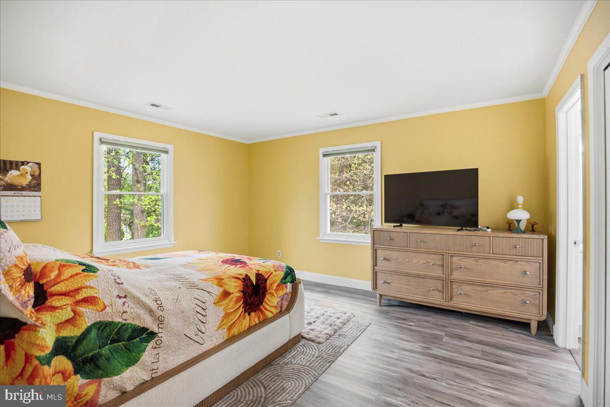 ESSEX SOUTH - Residential