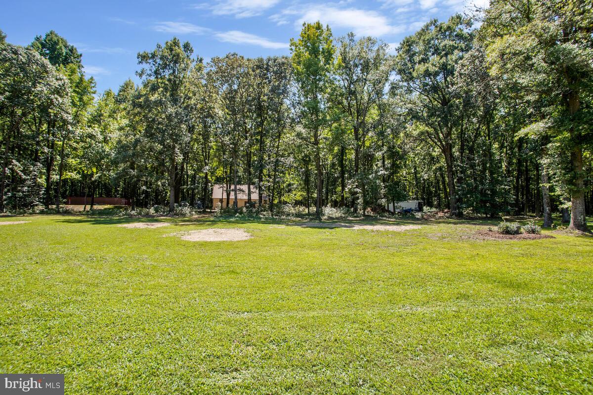 VENTNOR - Residential