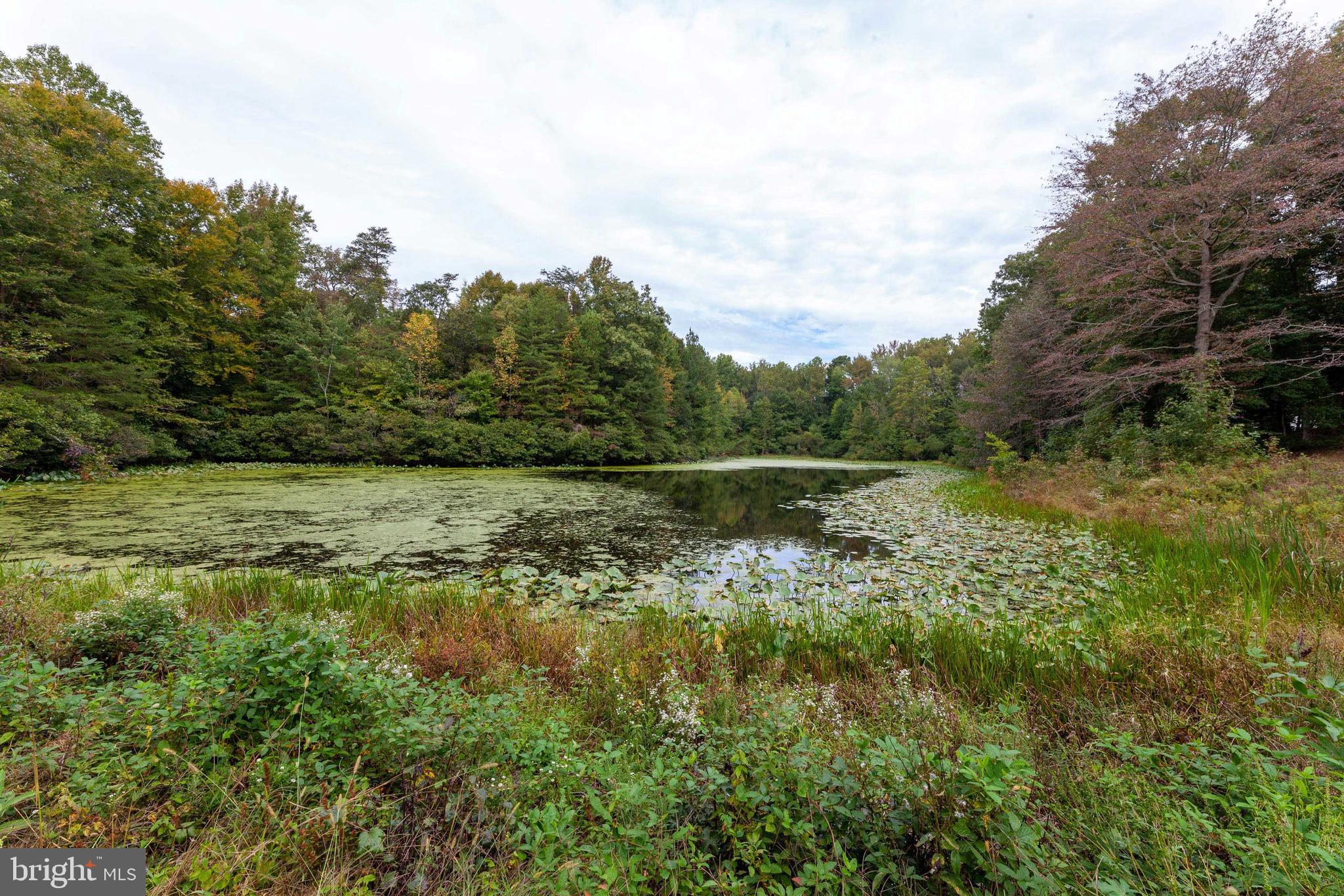 WILD GOOSE CREST MAJOR S - Residential