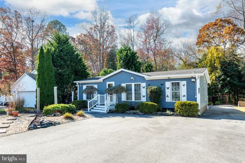 169 WHITE PINE DRIVE MILLSBORO DE 19966