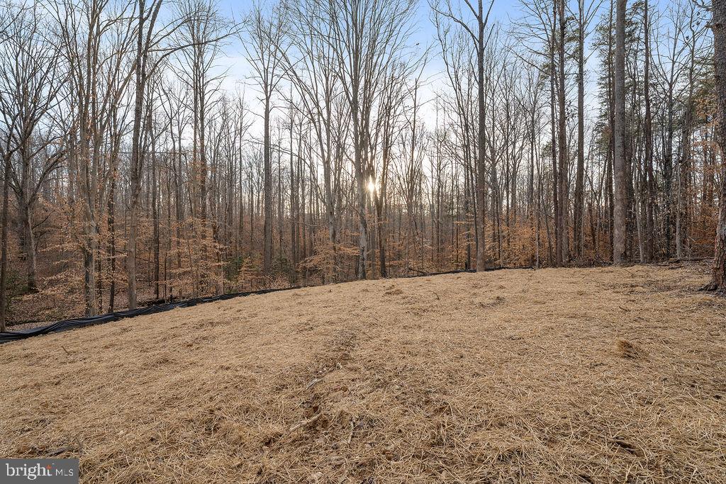 CUCKOO'S NEST - Residential