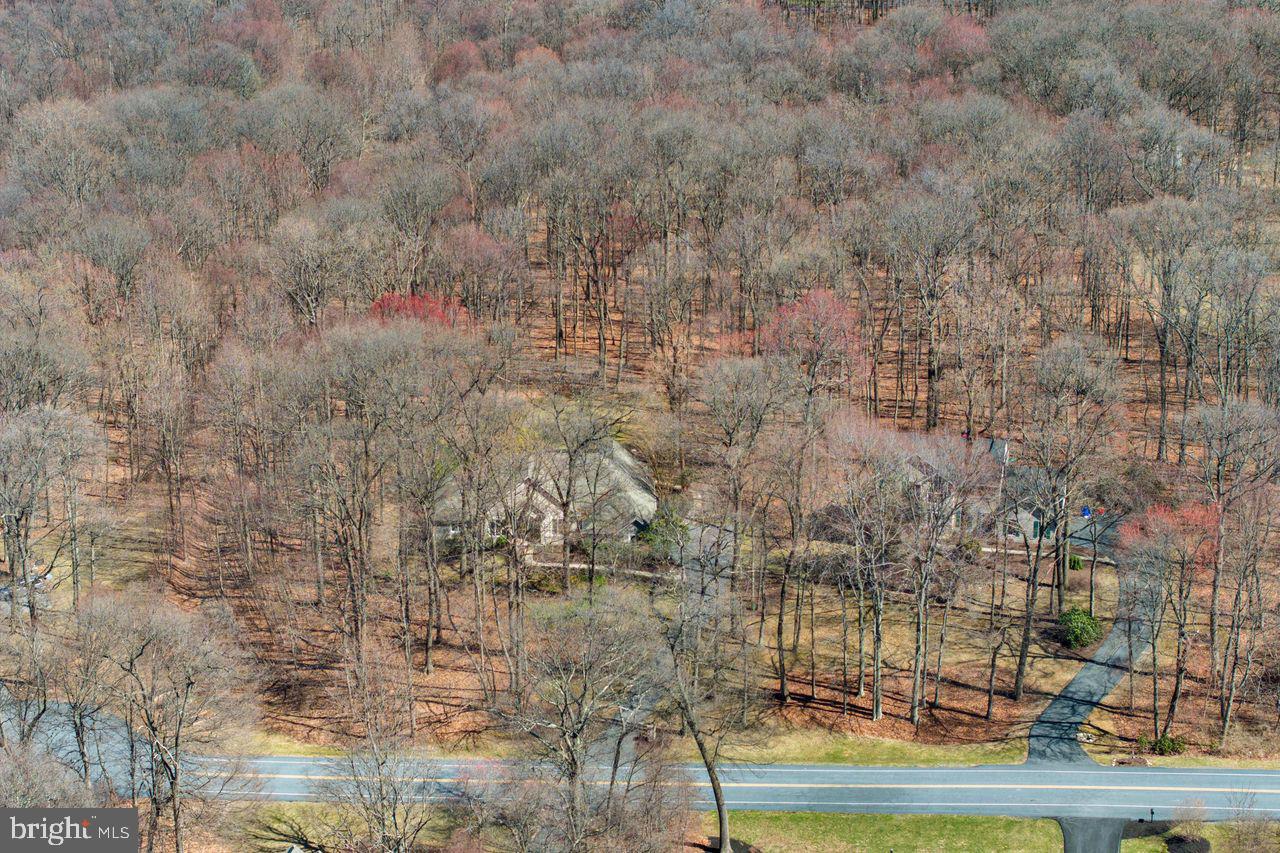 FOREST RIDGE - Residential