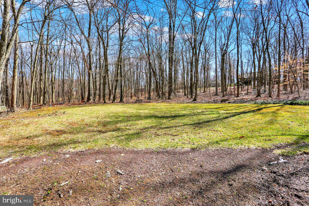 FOREST RIDGE - Residential