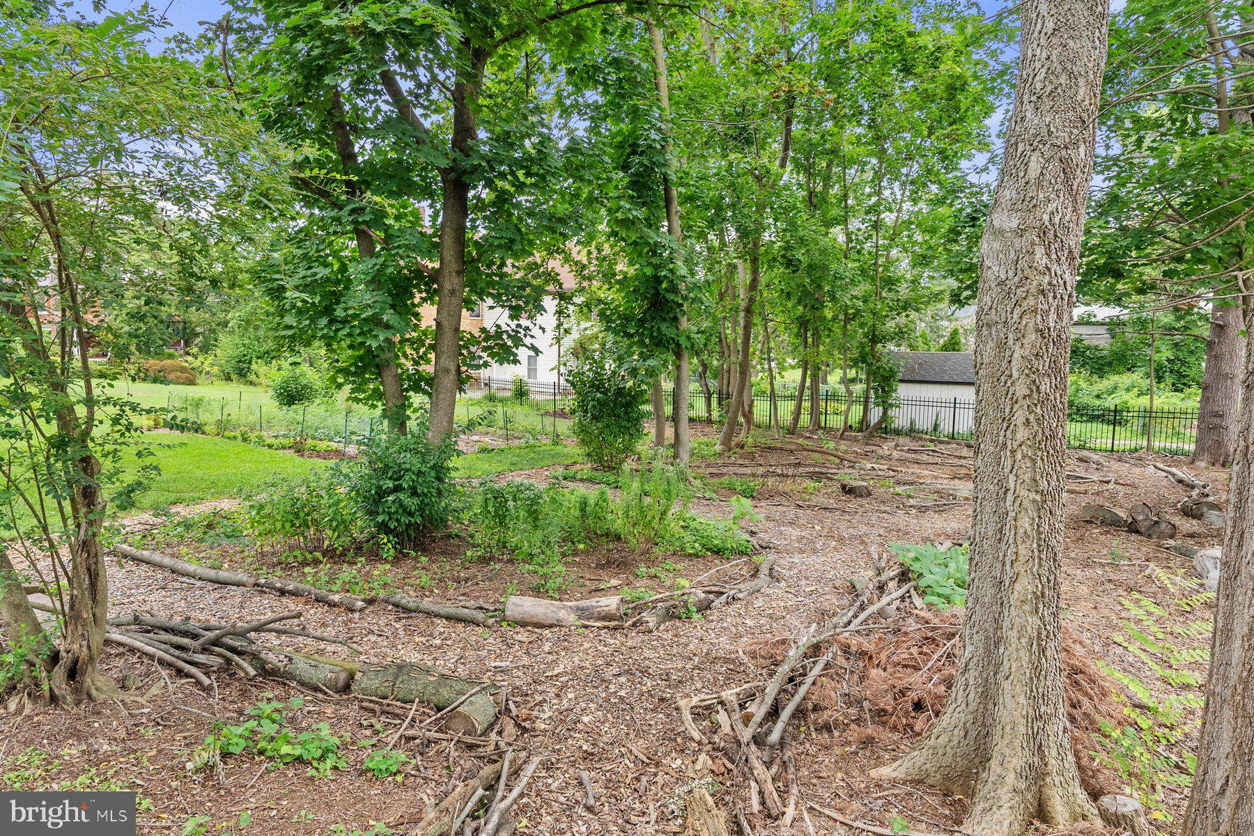 CHARLES TOWN CORPORATION - Residential