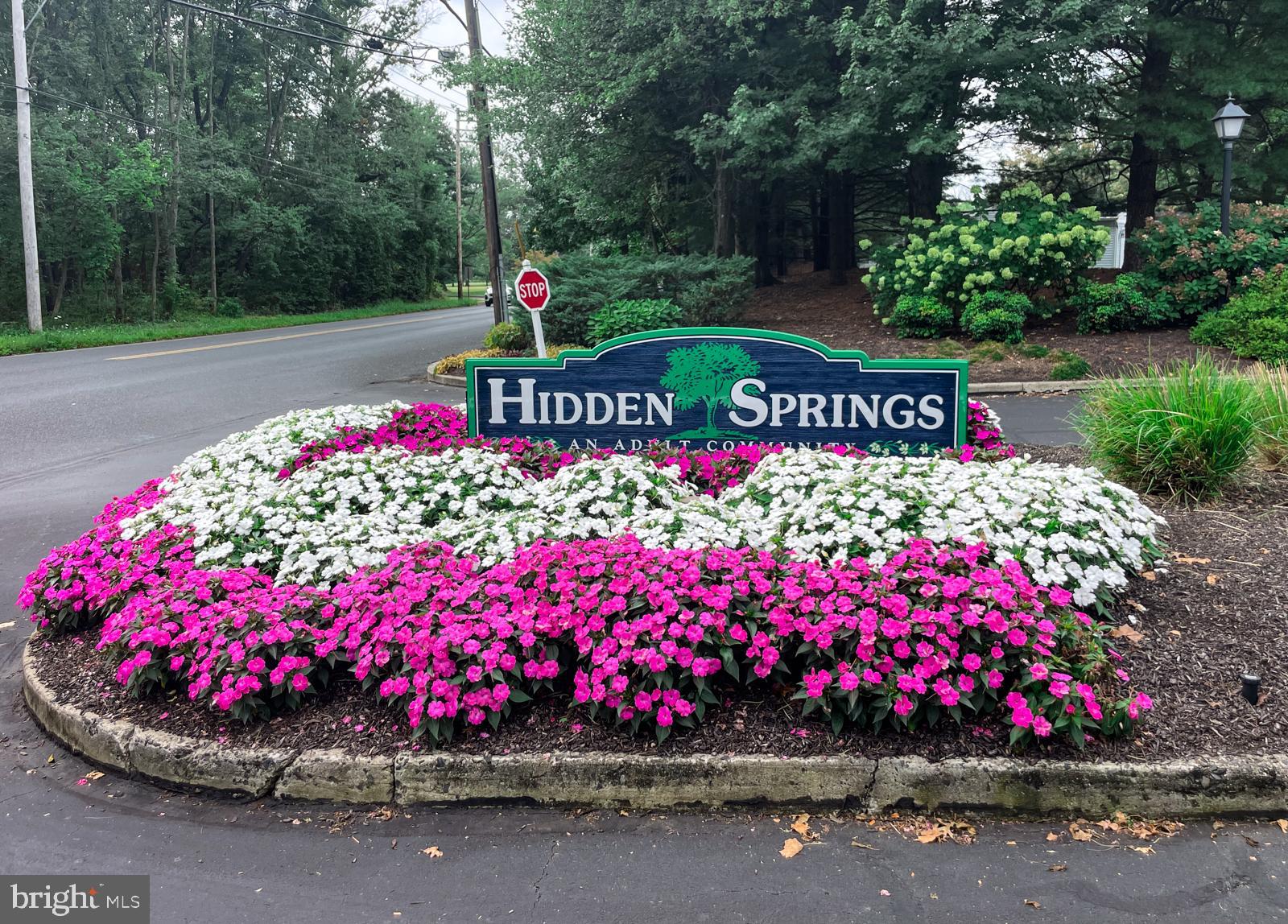 HIDDEN SPRINGS - Residential