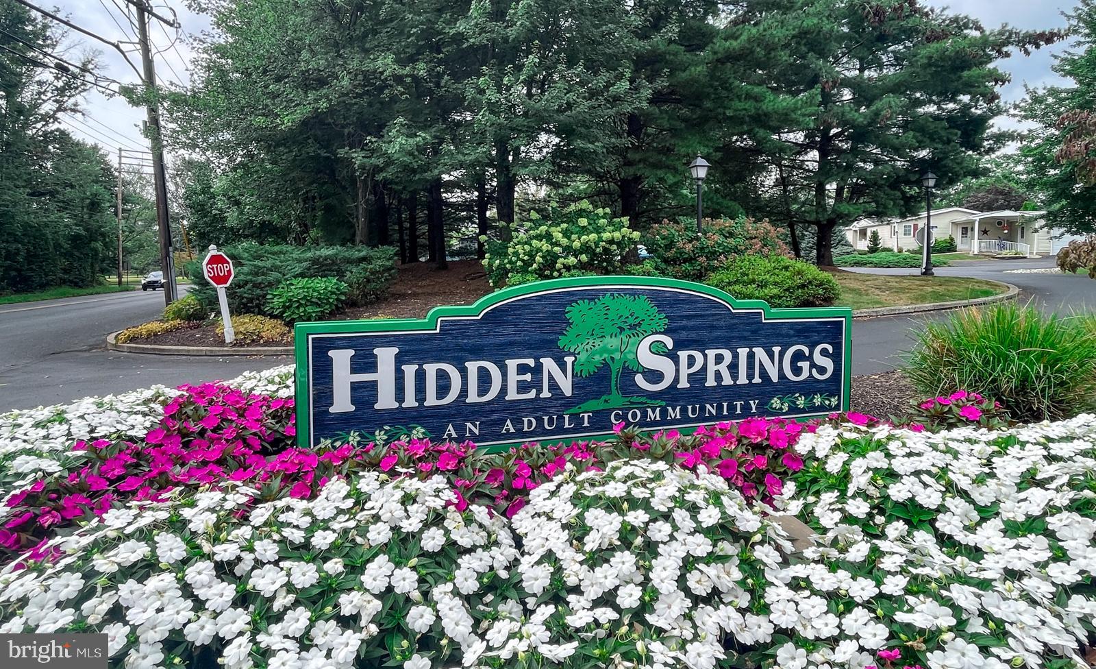 HIDDEN SPRINGS - Residential