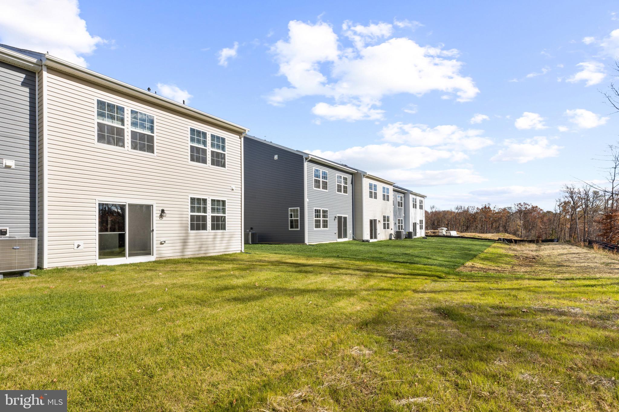 RIDGELY'S RESERVE - Residential