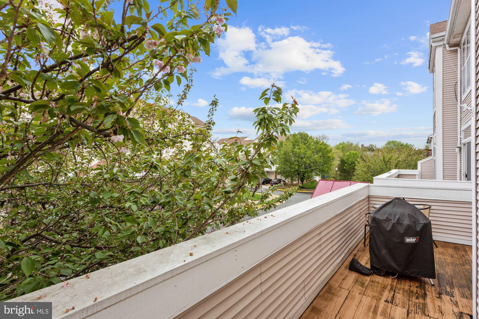 ASHBURN VILLAGE - Residential