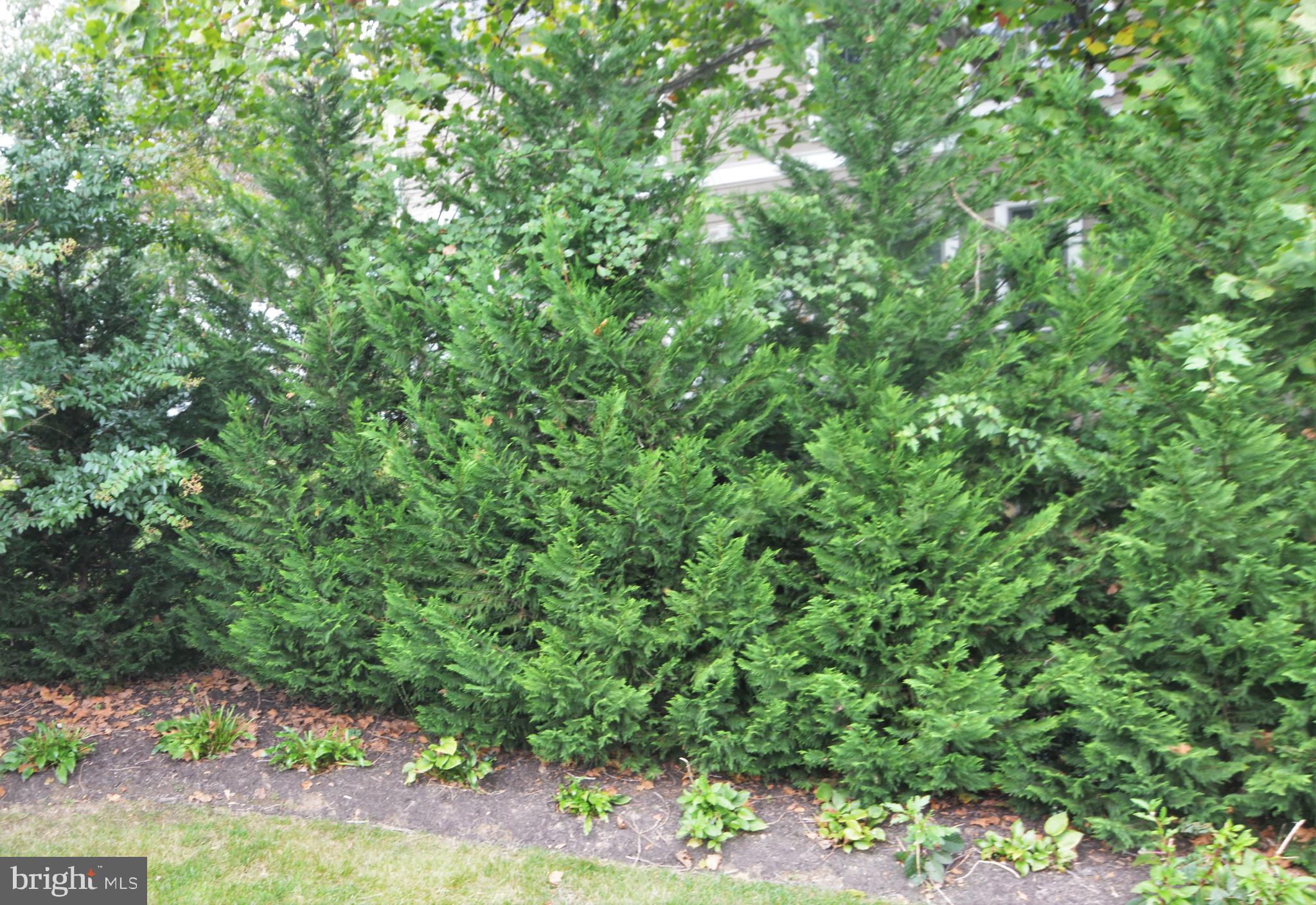 POTOMAC HILLS - Residential Lease