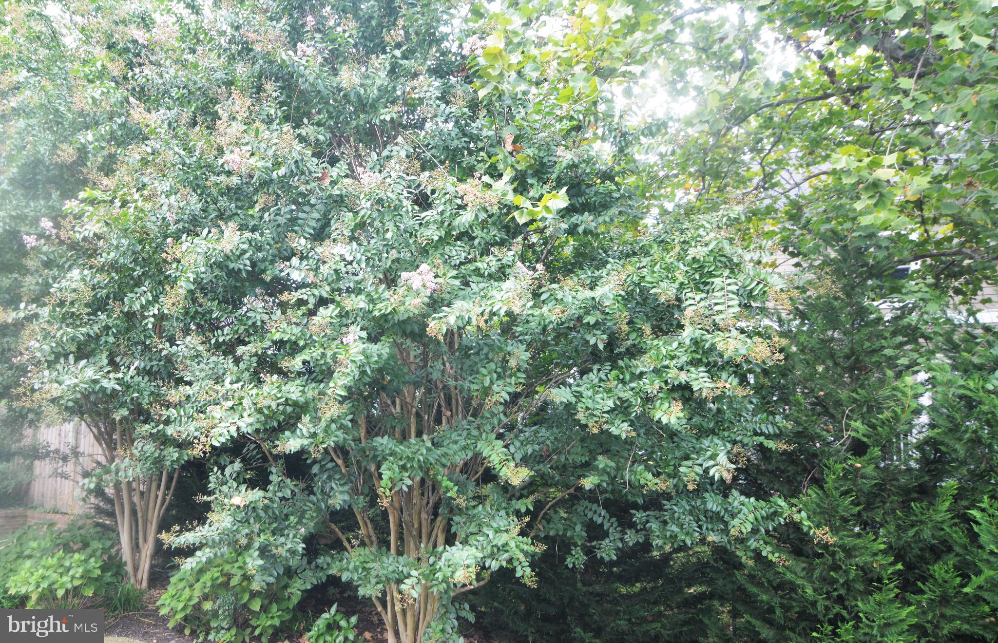 POTOMAC HILLS - Residential Lease