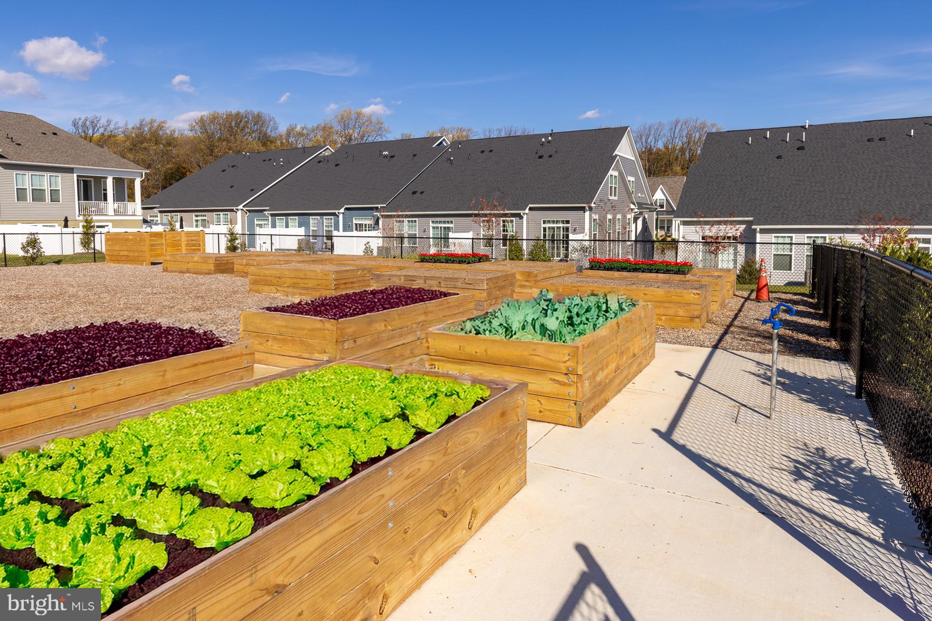 CABIN BRANCH - Residential