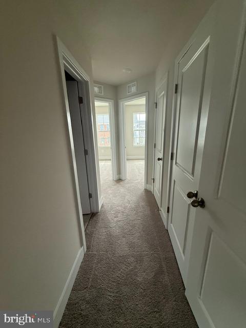 PATAPSCO GLEN - Residential