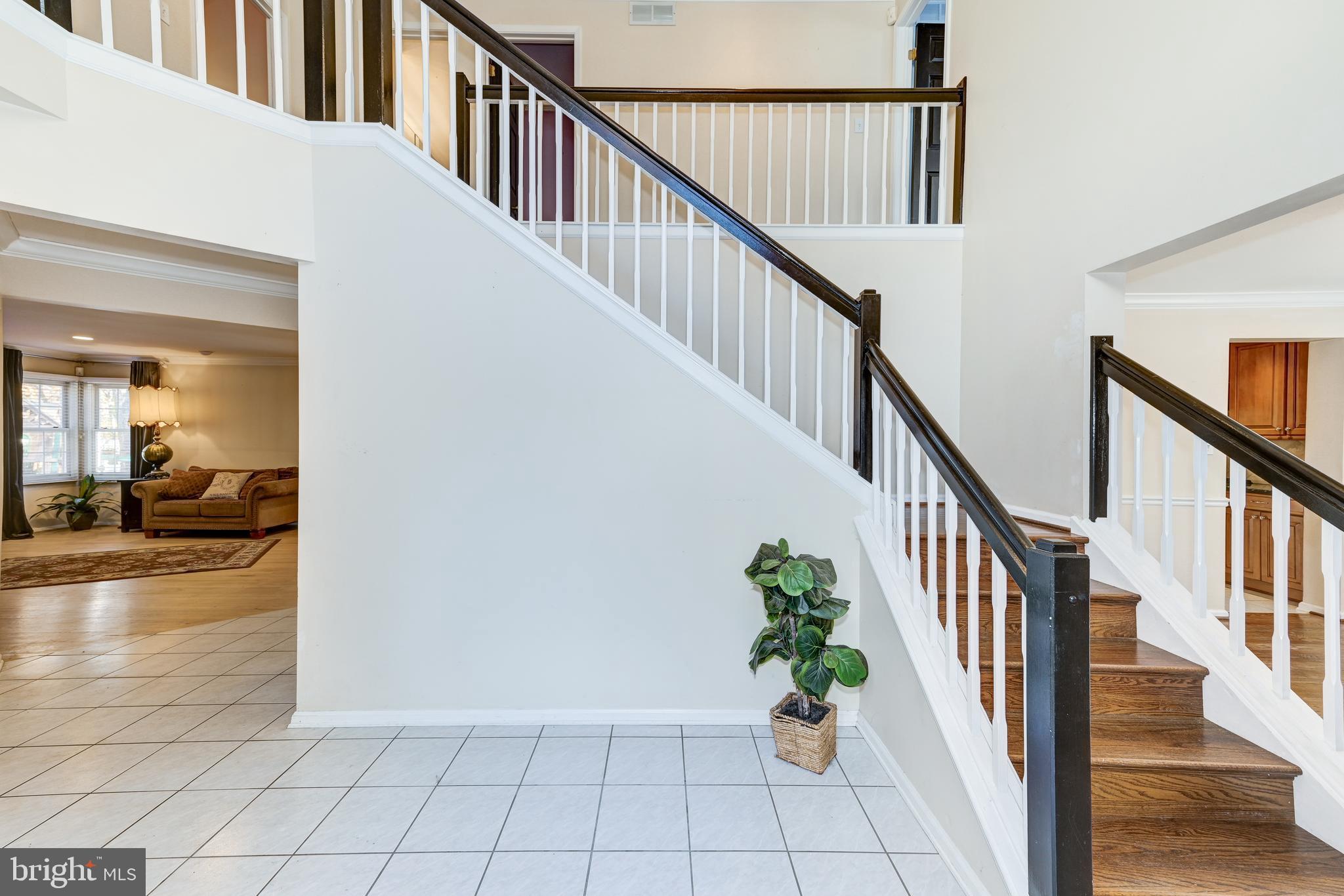 2 CALLISON LANE