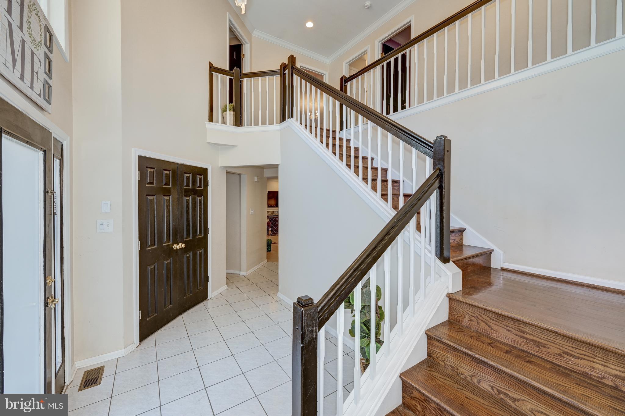 BEAGLE CLUB - Residential