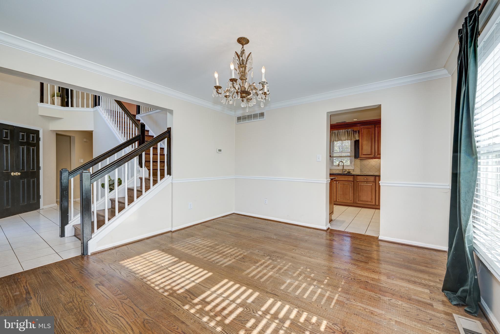 BEAGLE CLUB - Residential