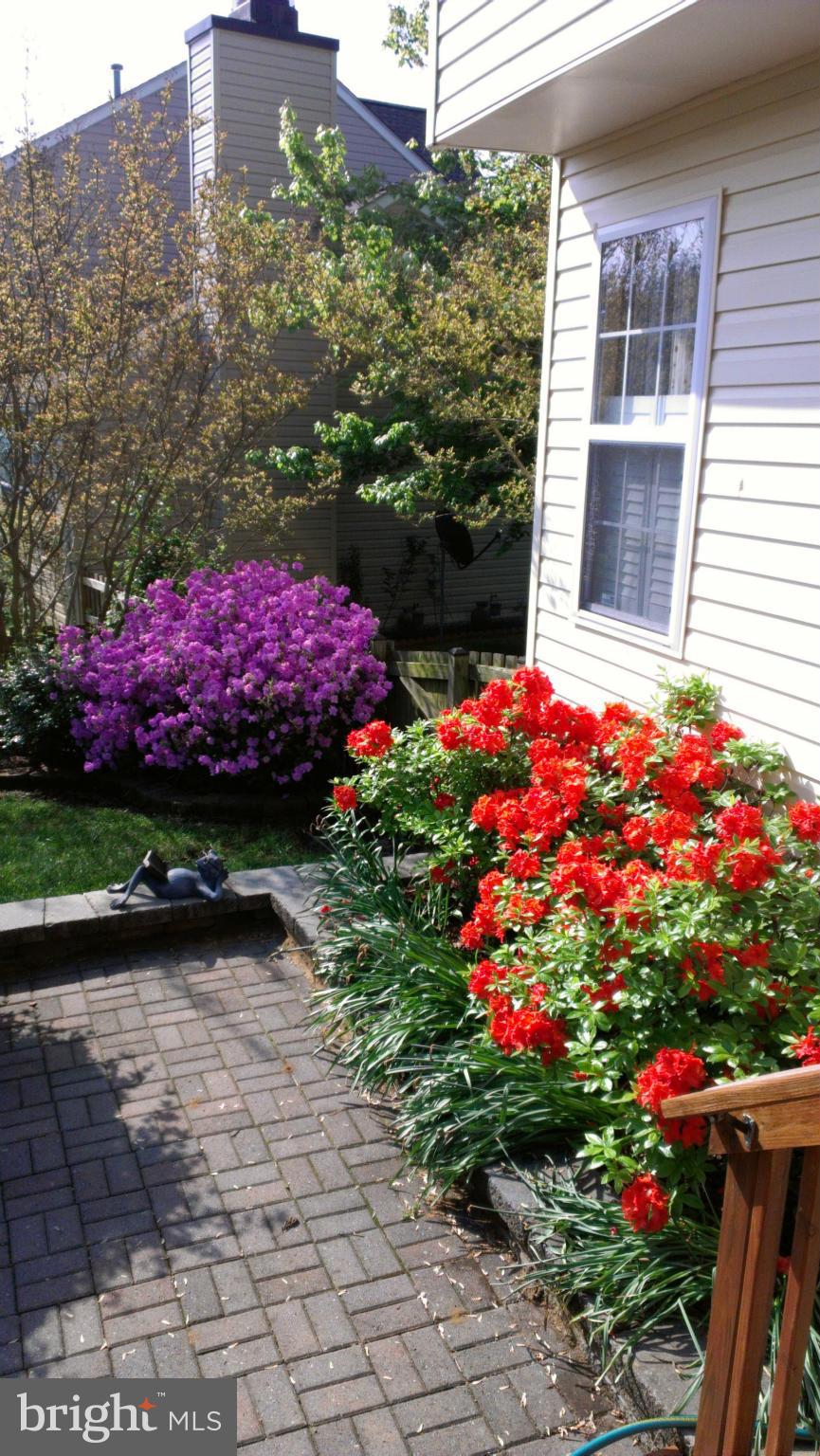 BLOOMS CROSSING - Residential