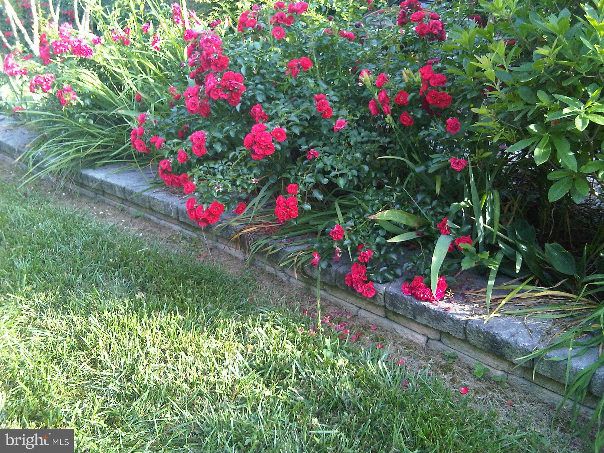 BLOOMS CROSSING - Residential