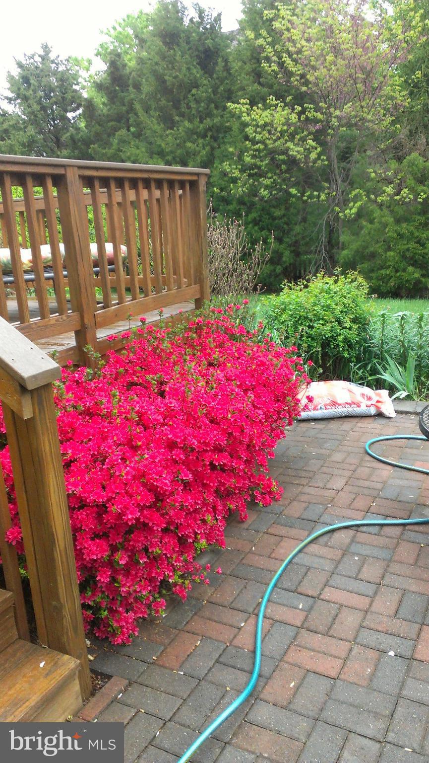 BLOOMS CROSSING - Residential