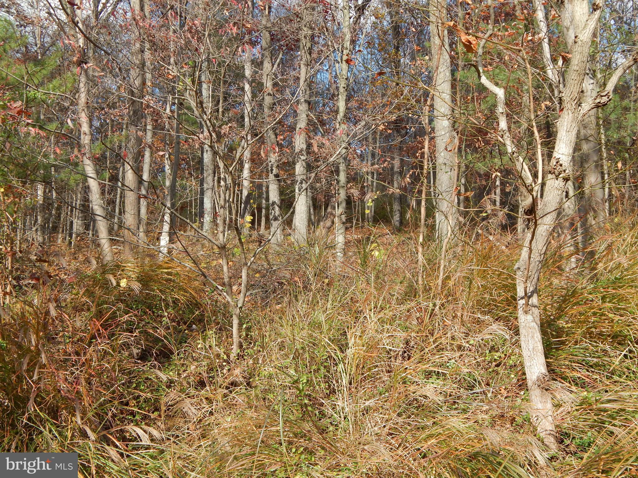 NONE AVAILABLE - Land