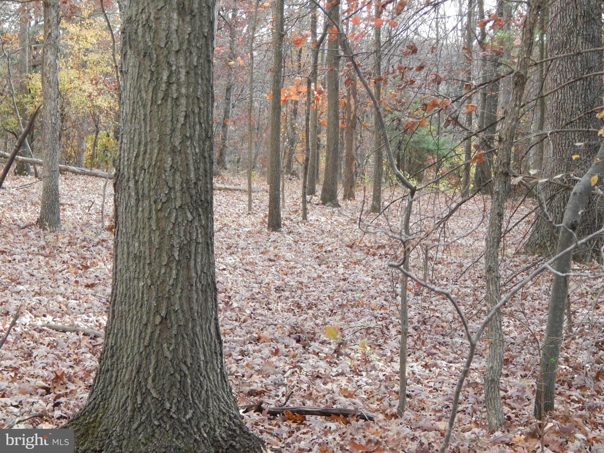 NONE AVAILABLE - Land