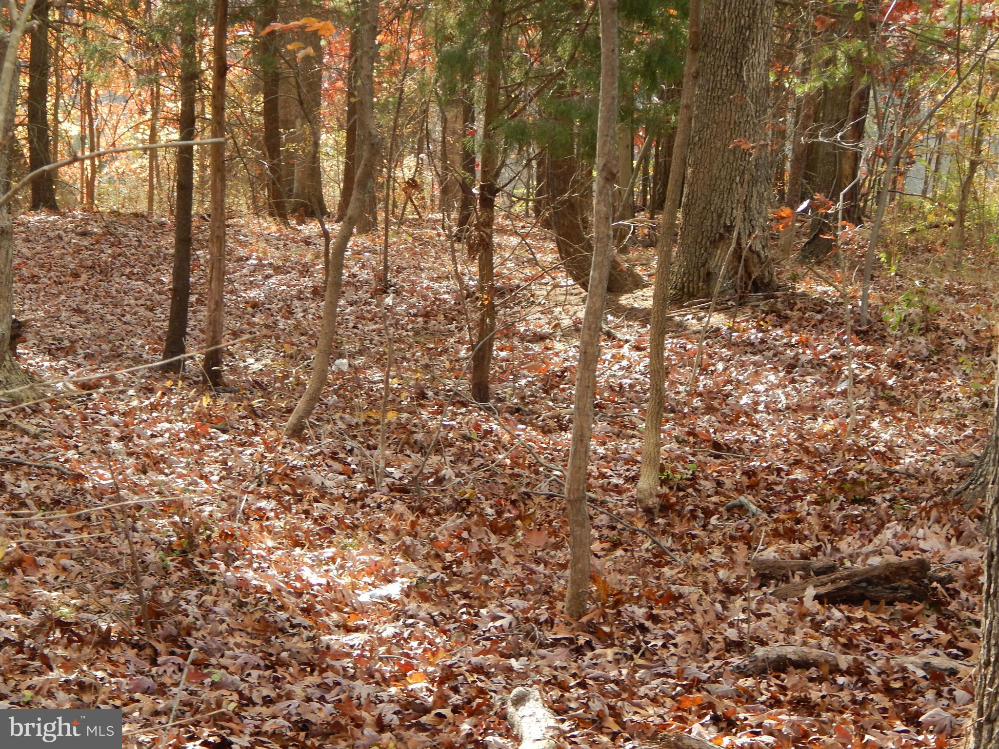 NONE AVAILABLE - Land