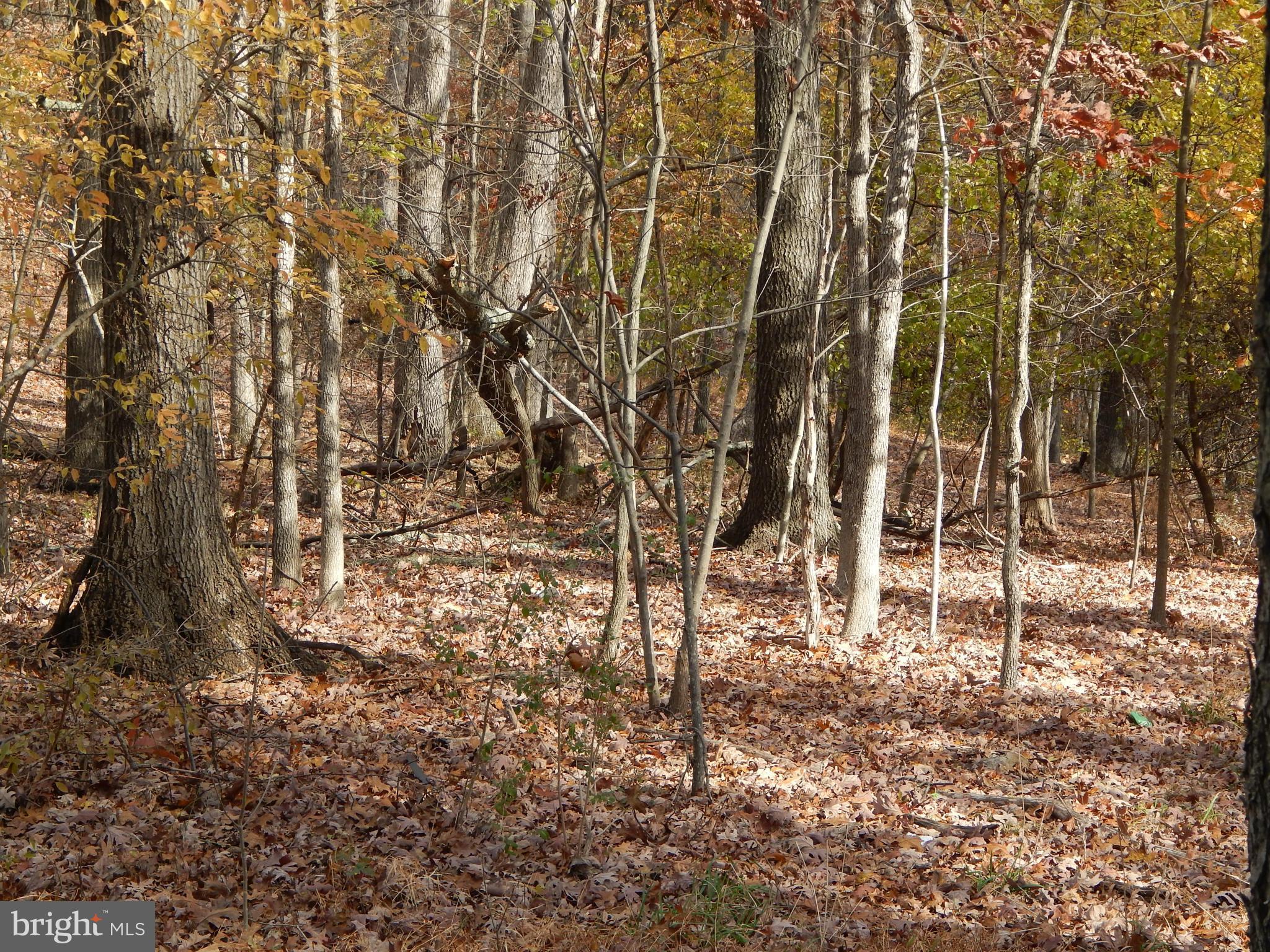 NONE AVAILABLE - Land