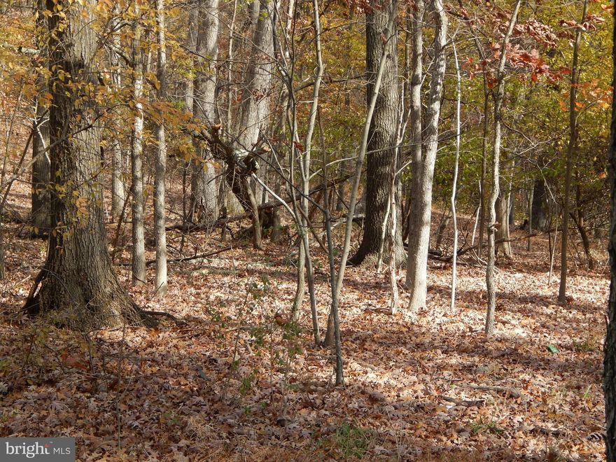 REDUCED PRICE AND A GREAT LOCATION. 15.77+- ACRES OF LAND THAT HAS BEEN PERCED AND APPROVED FOR A CONVENTIONAL SEPTIC SYSTEM.  COUNTY HARD ROAD FRONTAGE.  THE PROPERTY IS VERY PRIVATE  YET CLOSE TO I-70 FOR EASY COMMUTING . THE PROPERTY  IS READY FOR YOU TO BUILD A NEW HOME. MATURE TREES  AND DEAL FOR HUNTING OR HORSES.  MINUTES FROM HANCOCK MD WITH THE C&O CANAL, WESTERN MD BIKE PATH & POTOMAC RIVER. THIS PROPERTY WOULD ALSO BE IDEAL FOR SOMEONE WHO WANTS TO GET AWAY FROM ALL THE HUSTLE AND BUSTLE AND BUILD A WEEKEND GETAWAY.  APPROXIMATELY 2 HOURS FROM WASHINGTON DC & BALTIMORE.