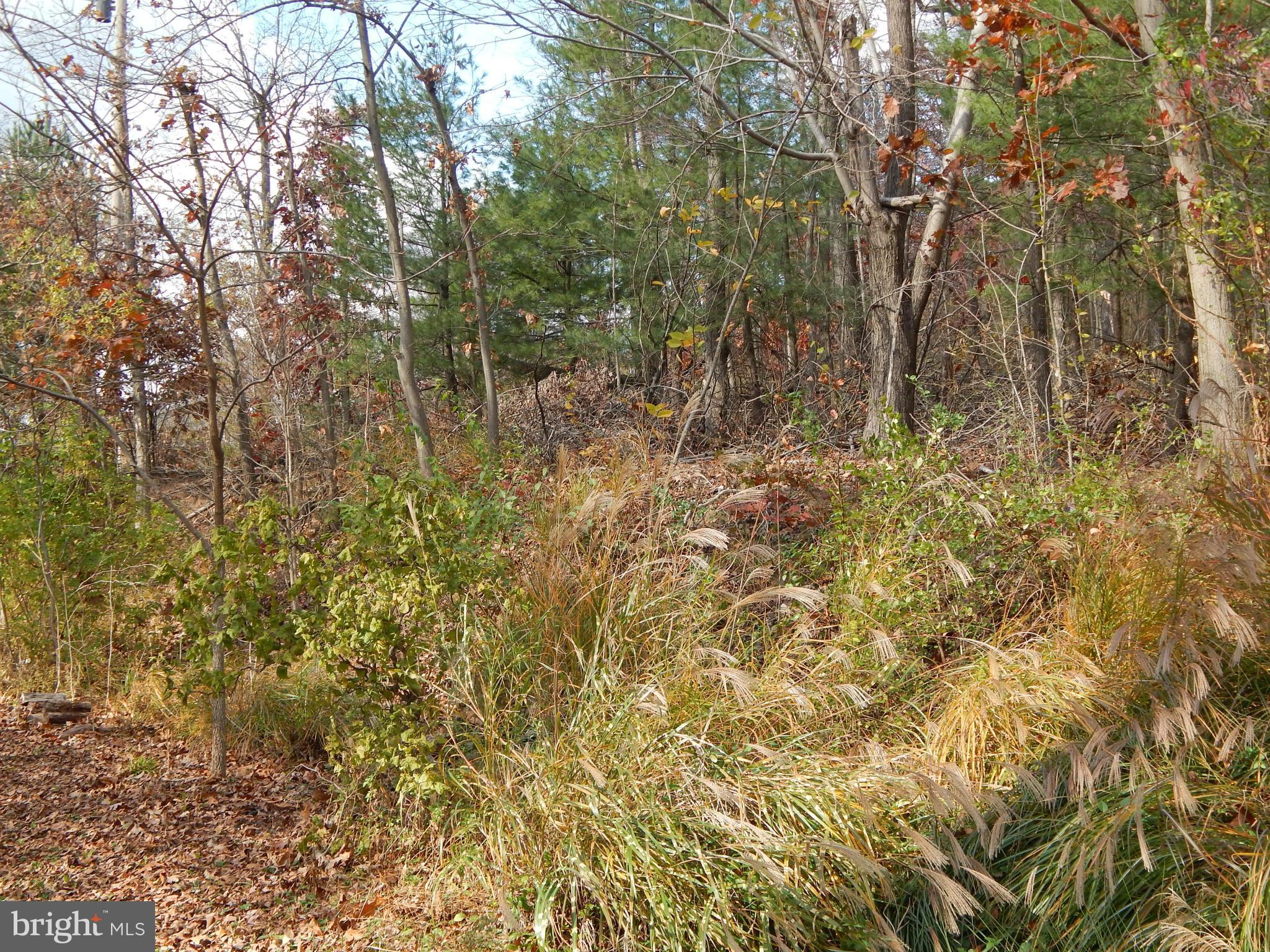 NONE AVAILABLE - Land