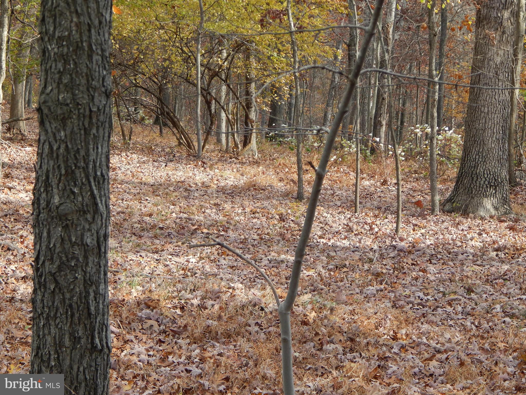 NONE AVAILABLE - Land