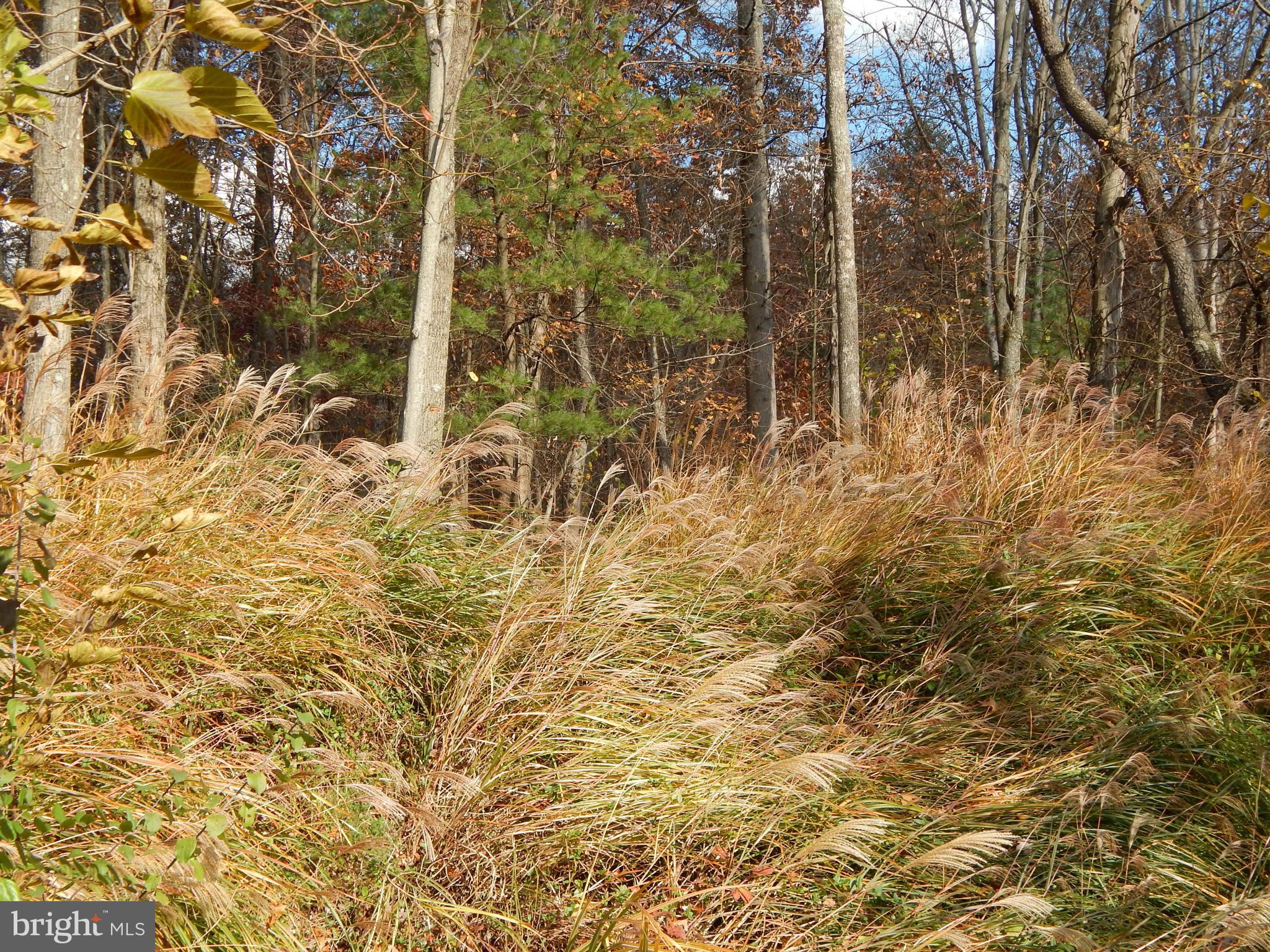 NONE AVAILABLE - Land