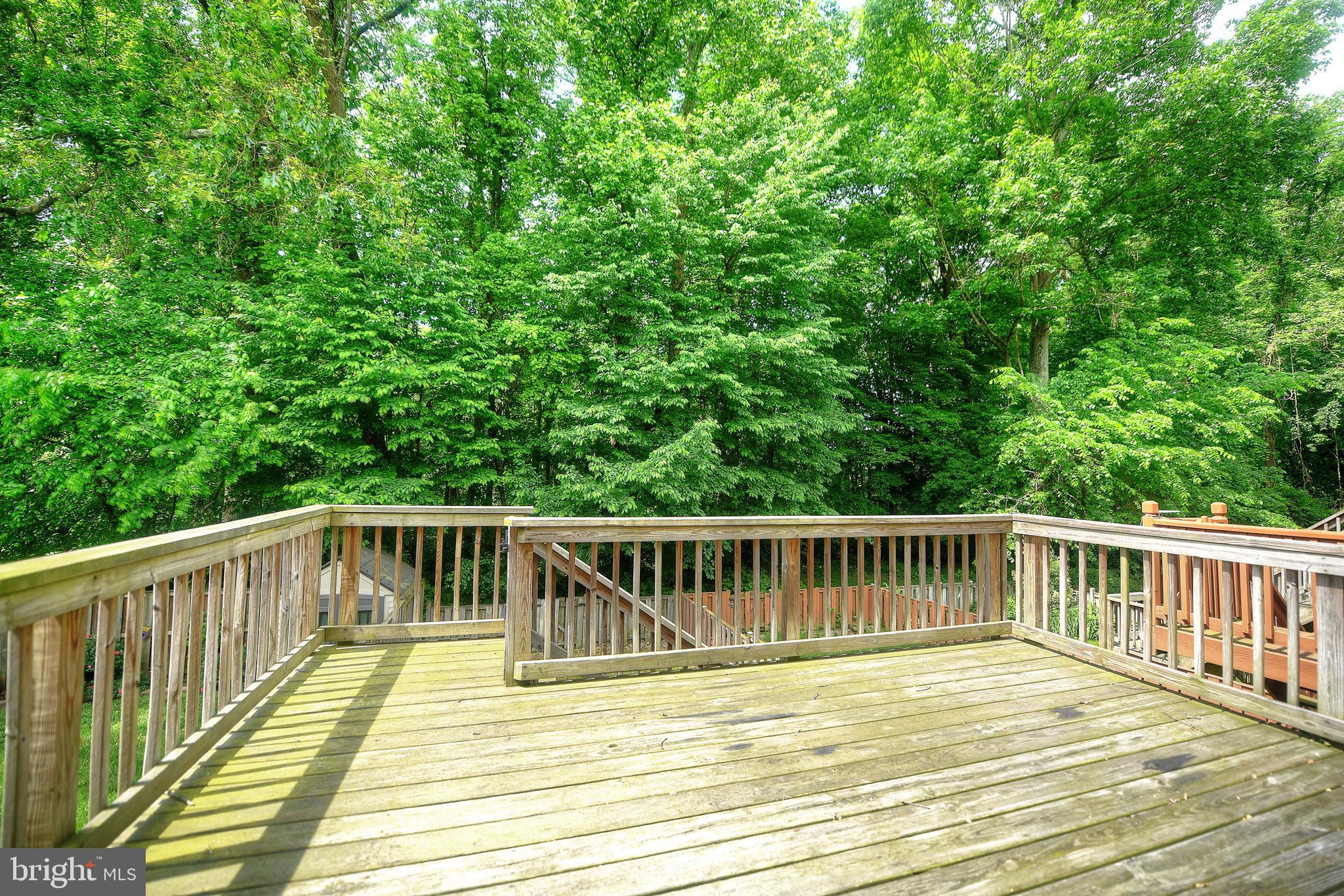 VILLAGE OF THOMAS RUN - Residential Lease