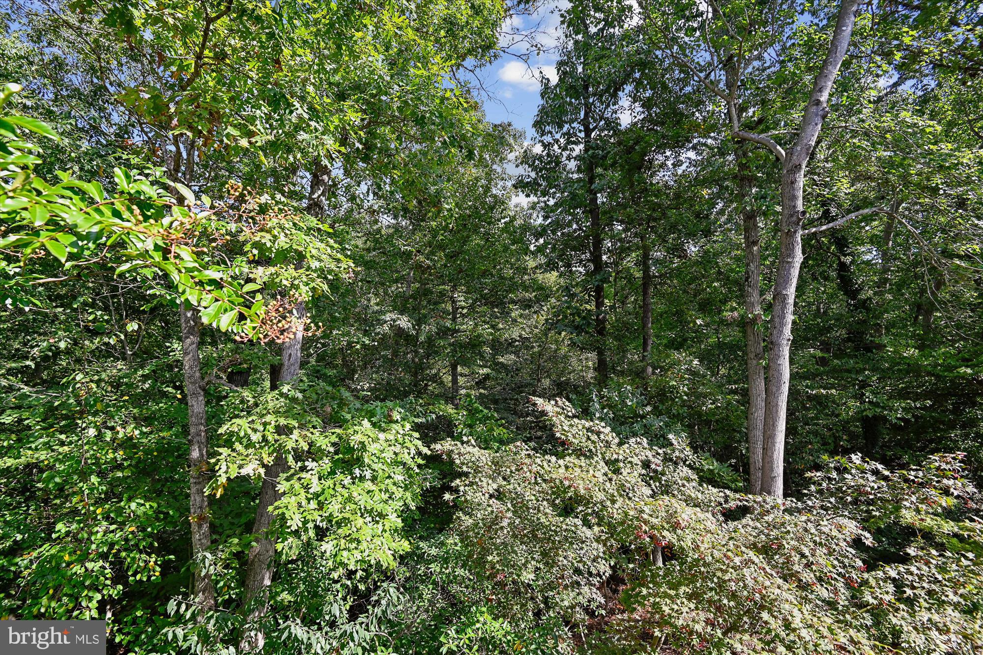 FALCON CREST - Residential