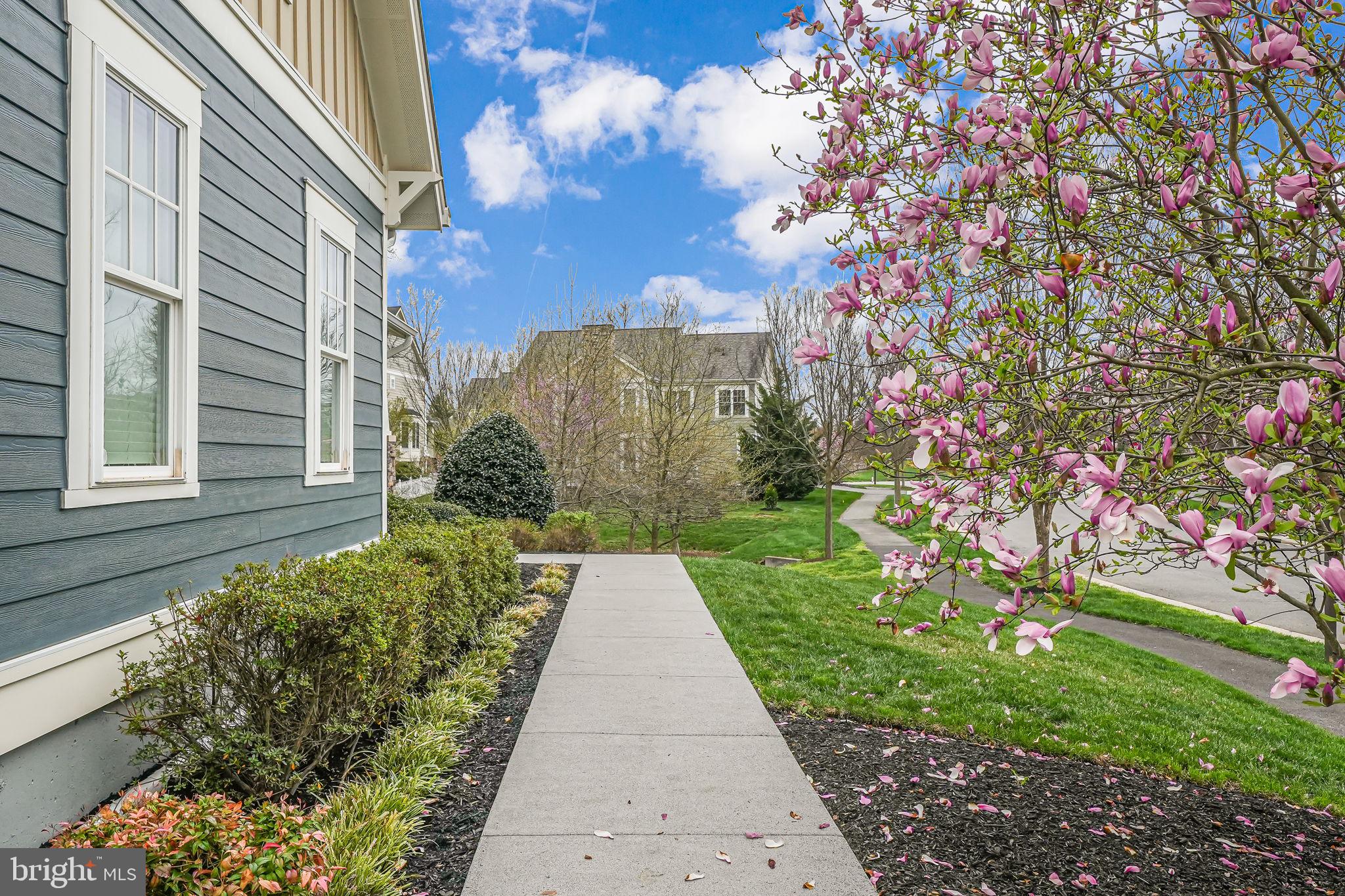 GROVE AT WILLOWSFORD - Residential