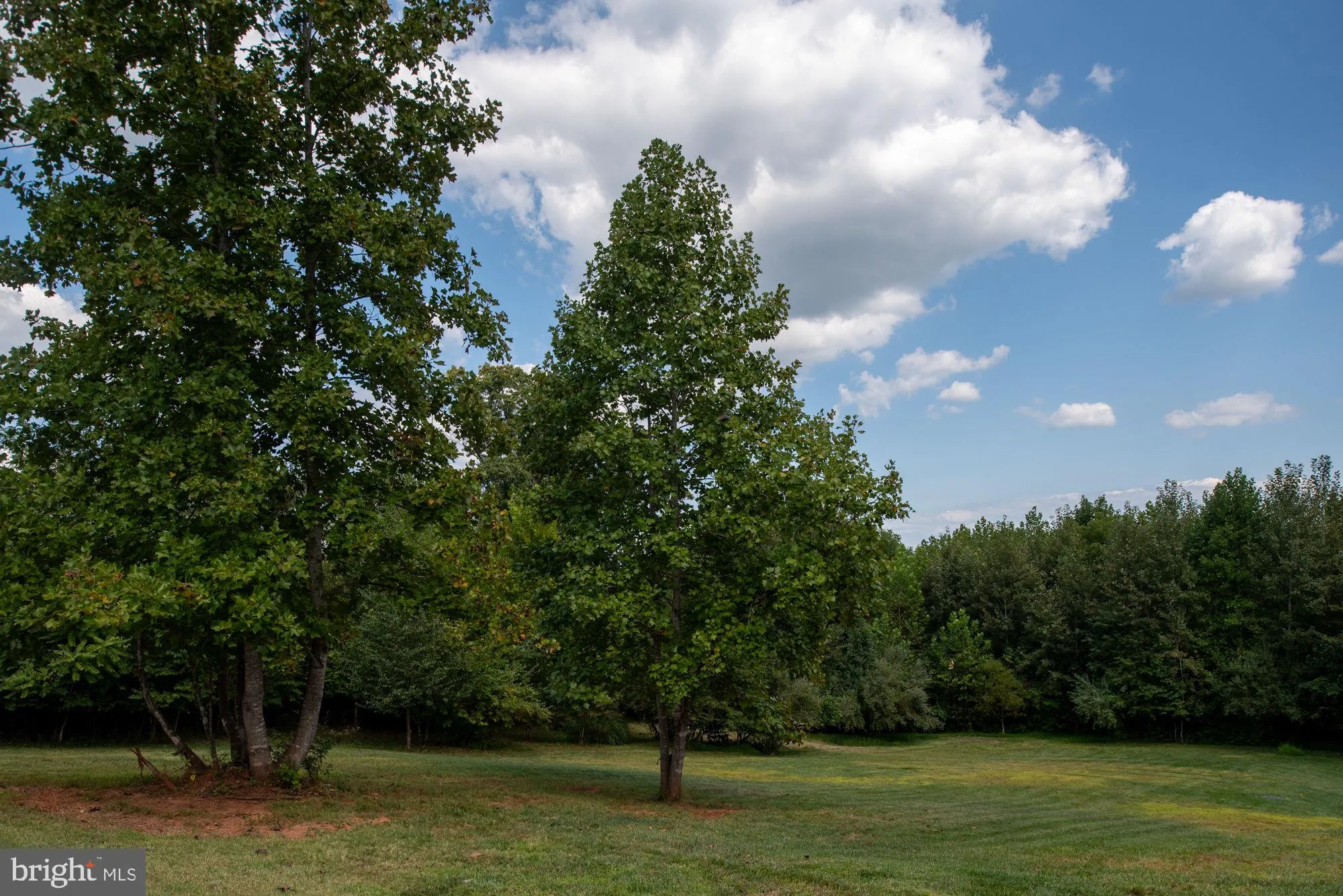 Stafford, Virginia 22556, United States, 4 Bedrooms Bedrooms, ,4 BathroomsBathrooms,Residential,Contingent,1982