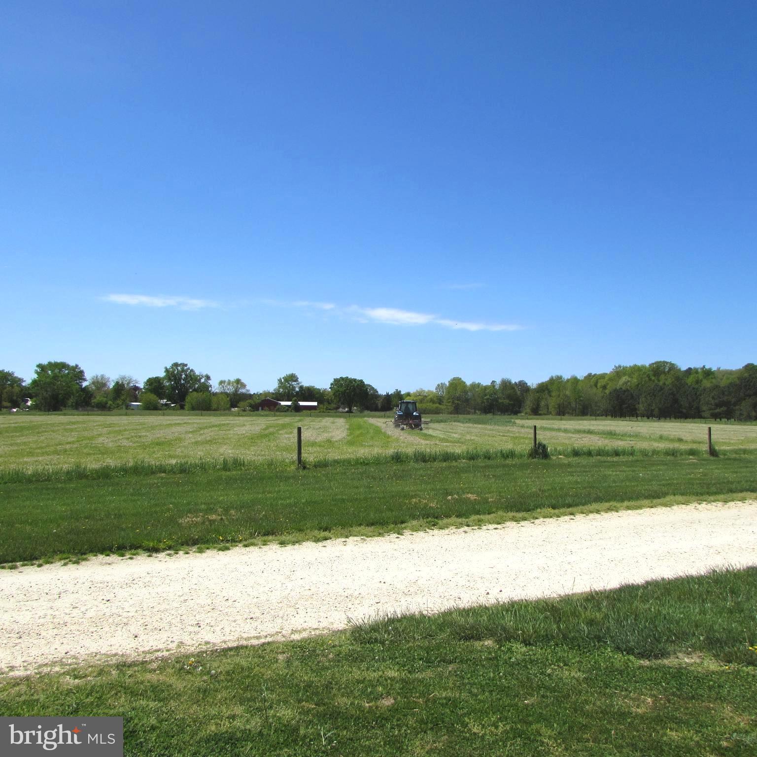 NONE AVAILABLE - Farm