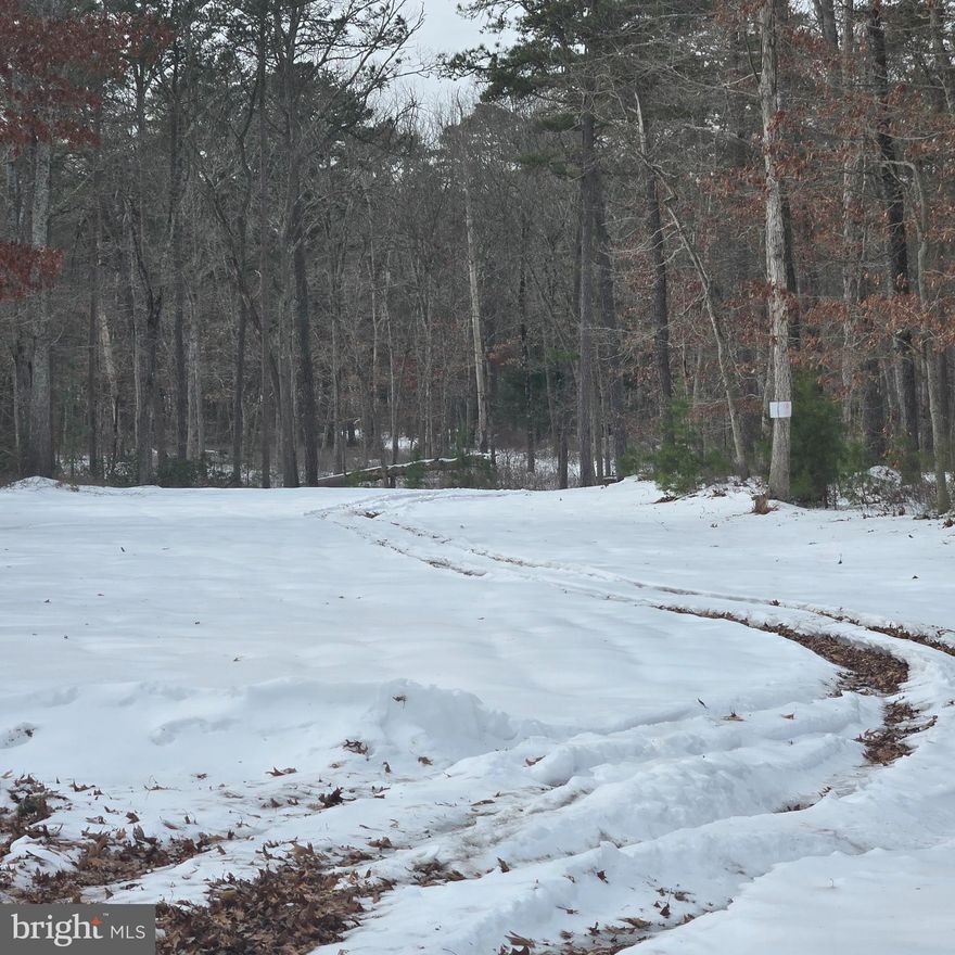 Calling all investors and developers! This property is located in a desirable area in West Millville. Public water, sewer, and natural gas access is available. This area's Elementary school is Reick Ave. School.
This is a great opportunity to build a small neighborhood or a family compound.
Priced to sell!!