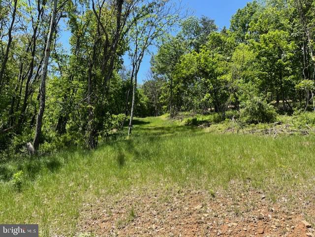 BLUFFS OF THE POTOMAC - Land