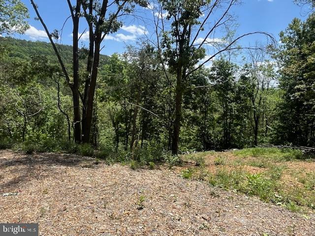 BLUFFS OF THE POTOMAC - Land